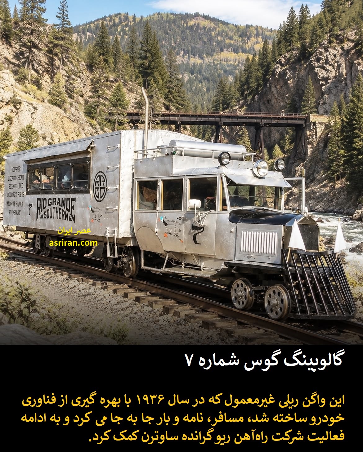 گالوپینگ گوس شماره 7