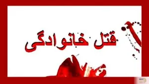 معمای قتل یک وکیل دادگستری در بیرجند توسط همسرش در تجمعات شبانه