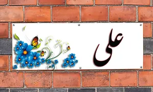 نام «علی» در کدام کشورها بیشترین طرفدار را دارد؟