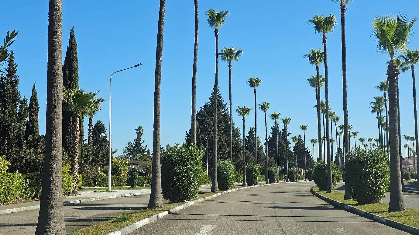 اجاره ویلا دریاکنار