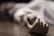 سفر ابدی اتم‌ها از نگاه دانشمند معروف؛ وقتی می‌میریم چه اتفاقی برای بدن می‌افتد؟