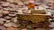 تمام ماجرای آینده جهان اینجاست