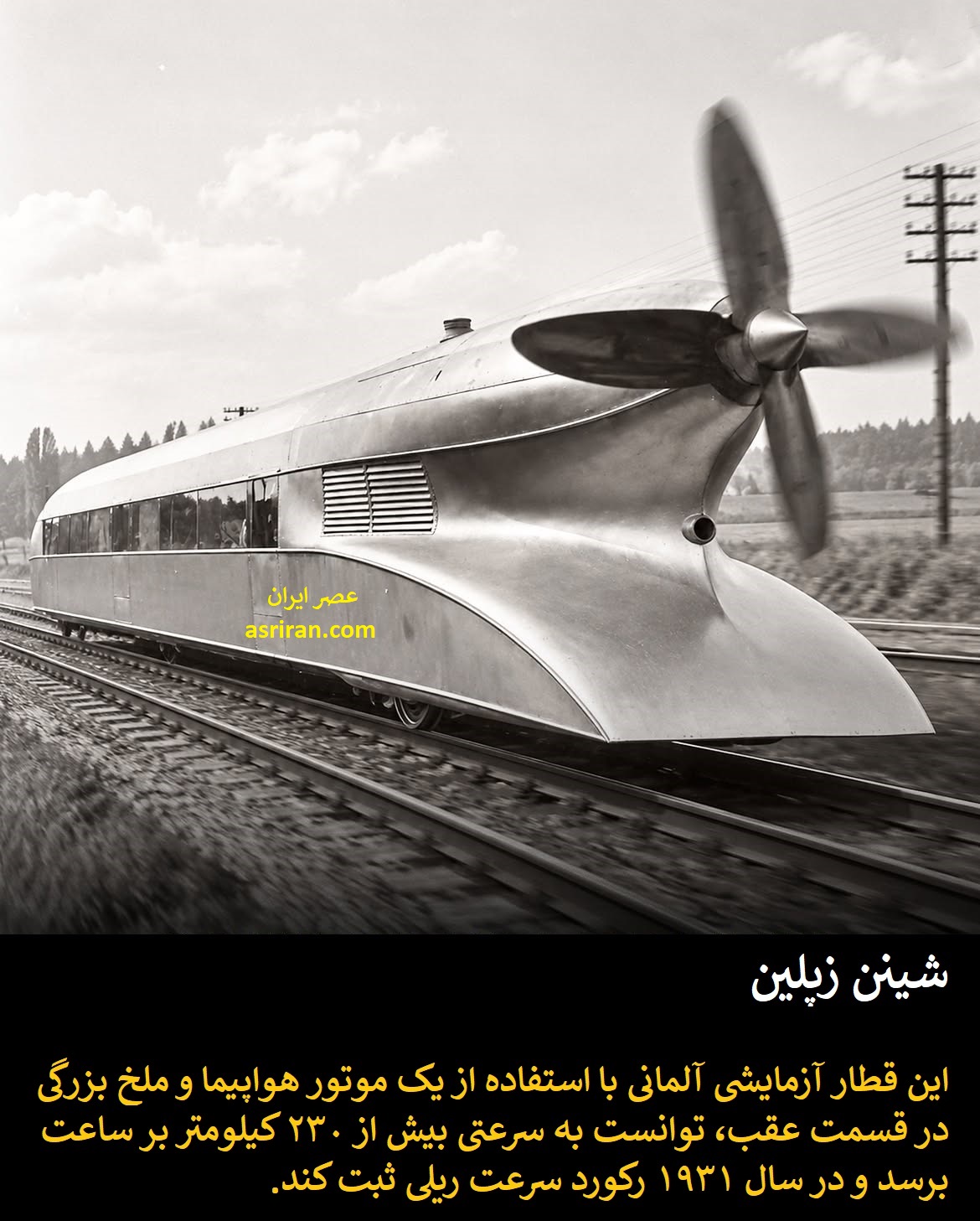 شینن زپلین