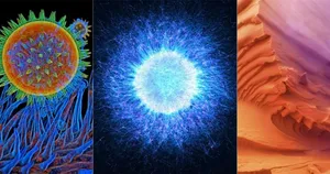 برندگان مسابقه عکاسی میکروسکوپی Evident Scientific معرفی شدند؛ دنیای متفاوت و حیرت‌انگیز