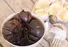 طرز تهیه ترشی سیر هفت ساله فوری در ۲۰ دقیقه!