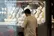 قیمت دلار، طلا و سکه امروز دوشنبه ۸ تیر ۱۴۰۵