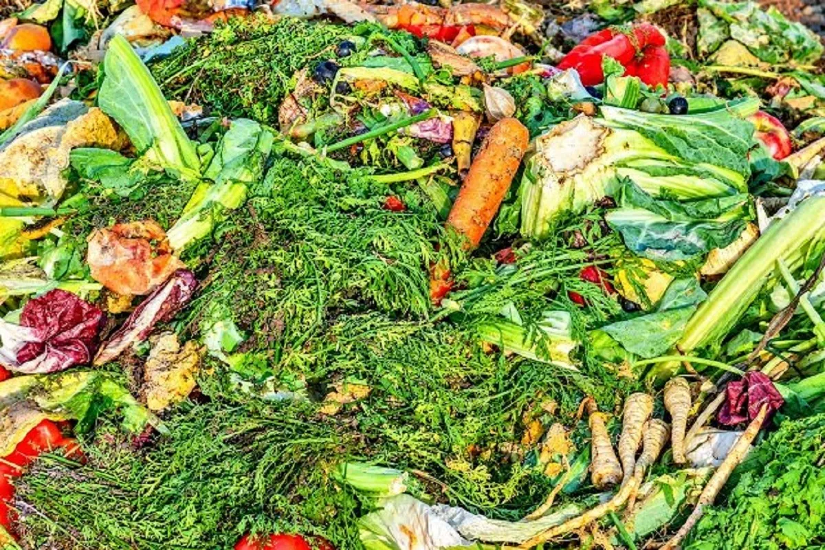 بخش‌های دورریختنی میوه و سبزی، منبعی پنهان از فیبرهای غذایی