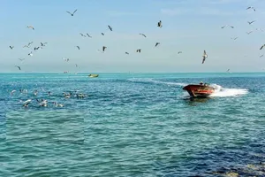 پهنه‌ای که نفسش تنگ شده؛ سفیدشدگی مرجان‌ها وجنگل‌های نیمه‌جان، سیمای زخمی‌ترین دریای منطقه
