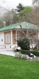 عاشقانه ترین گوشه کاخ سعدآباد