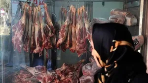 توضیح سازمان دامپزشکی درباره گوشت‌های بسته‌بندی «غیر بره»