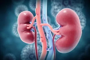 کلیه چگونه مثل یک آزمایشگاه پیشرفته در بدن کار می‌کند؟