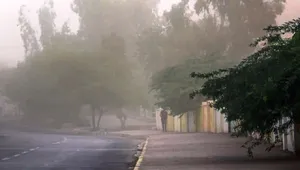 هشدار هواشناسی تهران برای وزش باد شدید و گرد و خاک