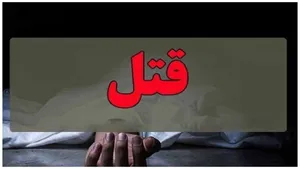 قتل ۲ زن سالخورده به دست پرستار خانگی عصبانی