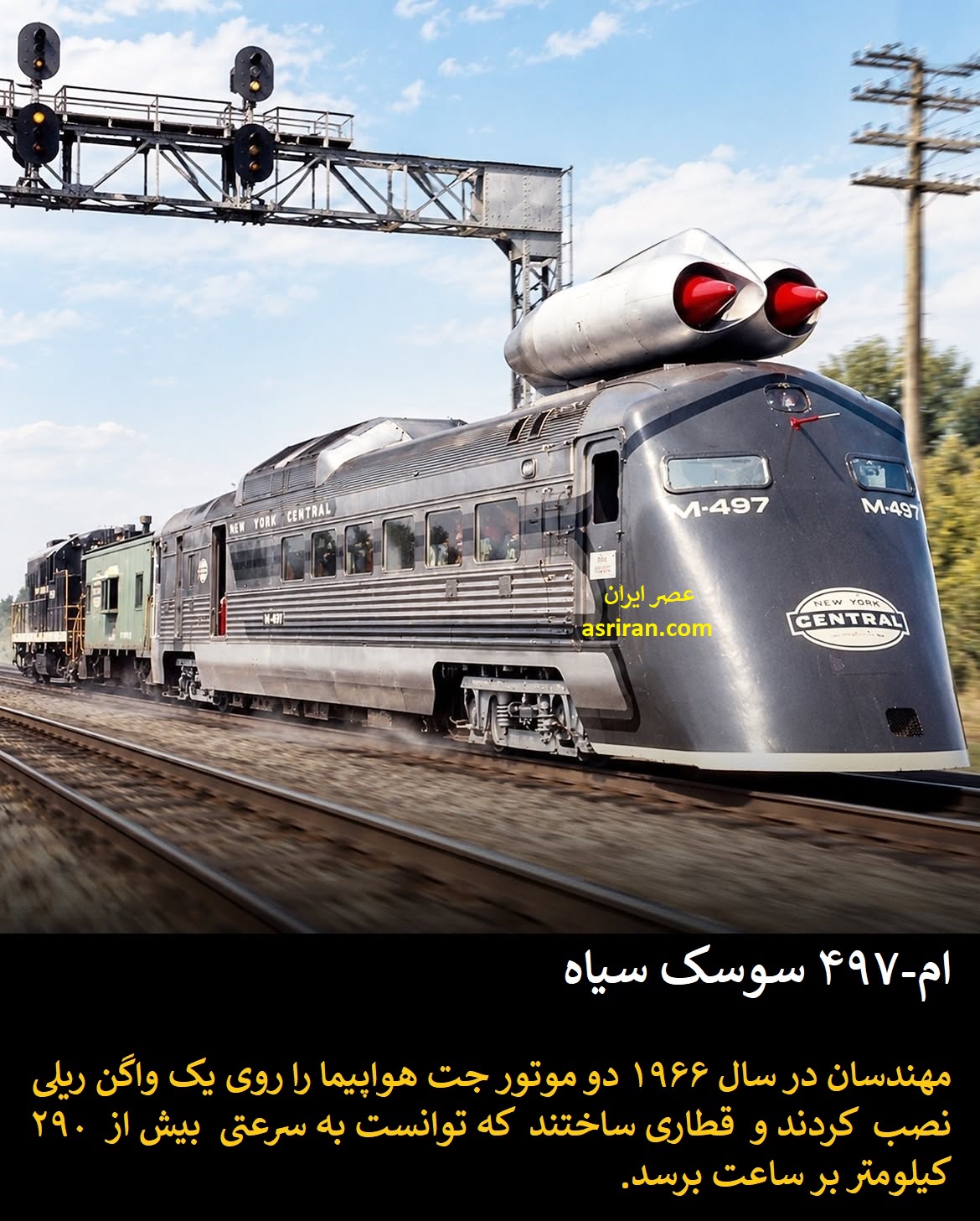 ام-497 سوسک سیاه