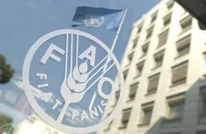 فائو: بحران طولانی مدت در تنگه هرمز می‌تواند فاجعه غذایی ایجاد کند