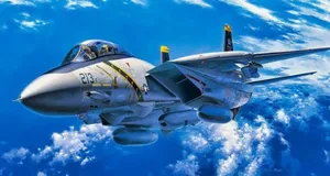 ایران تنها کشور جهان با جنگنده‌های F-14 تامکت؛ داستان یک میراث نظامی