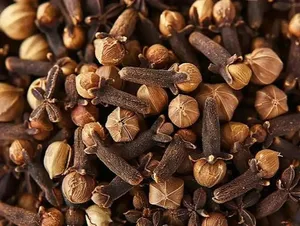 دمنوش میخک؛ نوشیدنی پاییزی برای روزهای سرد( اینفوگرافیک)