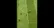 ده‌ها مأمور پلیس در تعقیب جیمی‌جامپ مسابقه بلژیک و سنگال