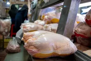کاهش قیمت مرغ به 240 هزار تومان