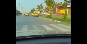 اتفاق عجیب در مسیر محل کار؛ بیرون آمدن مار از کاپوت خودرو در مازندران!