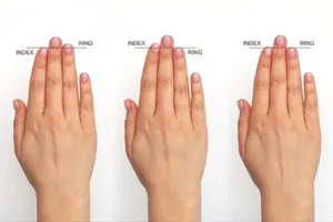چه رازی در انگشتان ما پنهان است؟ / طول انگشت‌ها و تکامل مغز