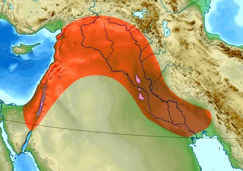 انسان