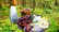 طرز تهیه مرغ لیمویی ترد روی آتش؛ آشپزی آرامش‌بخش در دل طبیعت