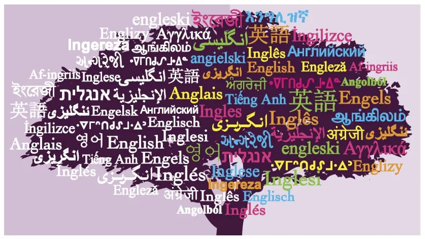 استقبال از تاسیس بنیاد زبان و ادبیات ترکی؛ از زبان های ایرانی حفاظت کنیم
