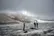اولتیماتوم یک روزه؛ یخچال‌های طبیعی سوییس تا فردا آب می‌شوند