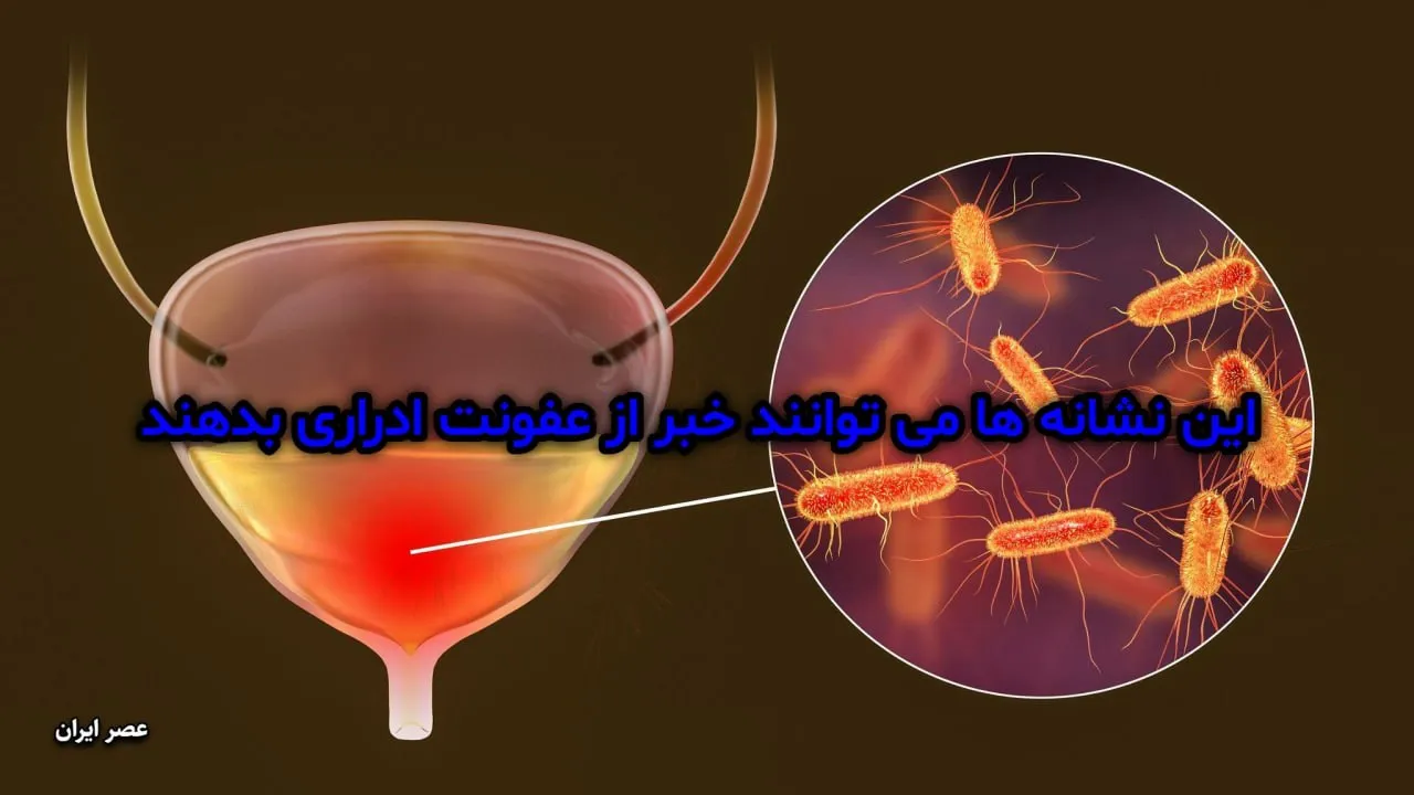 این نشانه ها می توانند خبر از عفونت ادراری بدهند