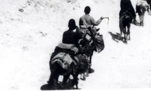 عبور کاروان سلطنتی از جاده چالوس؛ 132 سال قبل (عکس)