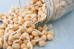 ۸ خاصیت شگفت‌انگیز جوانه نخود + طرز تهیه