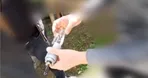تصاویری از کشف خمپاره انداز در گیلان