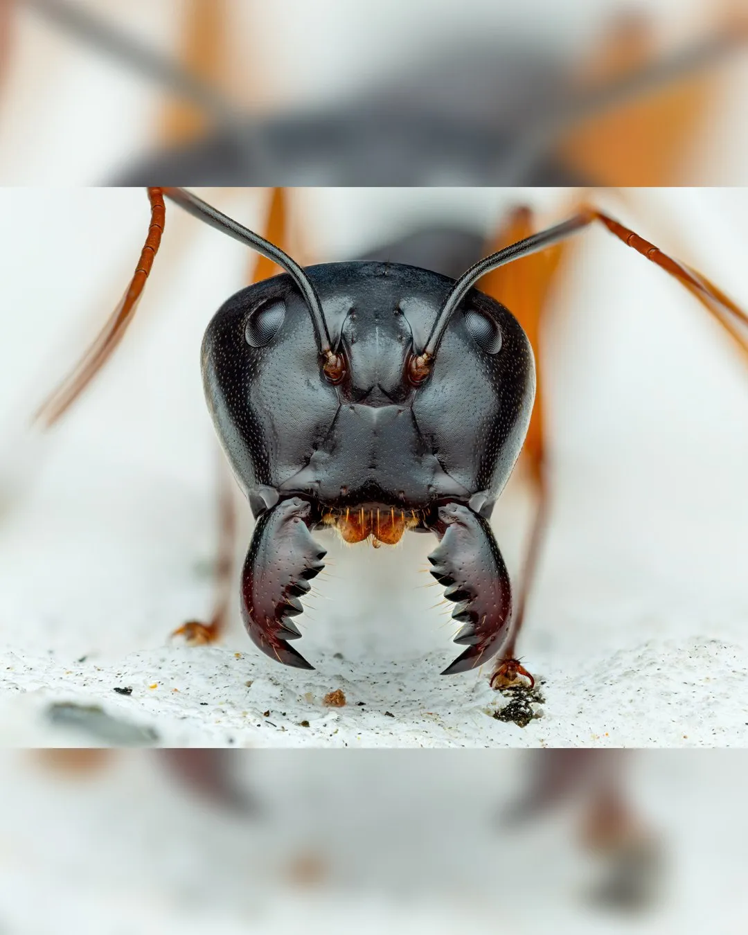 1512