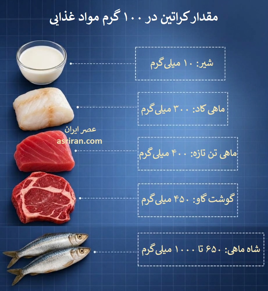 اینفوگرافیک مقدار کراتین در 100 گرم شیر، ماهی و گوشت