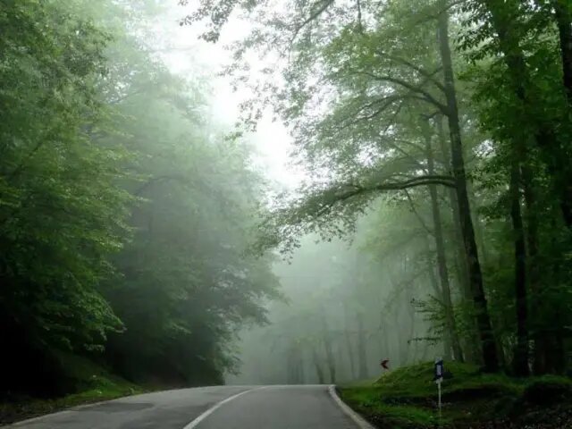 جاده عباس‌آباد به کلاردشت