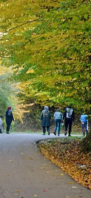 گیلان؛ نمونه ای از میزبانی مسؤولانه