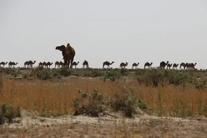 بحران فرونشست زمین در جنوب کرمان؛ خطر بیخ گوش دشت‌ها
