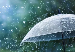 افزایش دما در پایتخت؛ تهران ۱۲ درجه بالای صفر در بامداد امروز