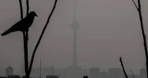 برف و باران برای تهران آلوده حاصلی داشت؟