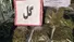 هشدار پلیس درباره قرص‌های لاغری حاوی شیشه و خطرات مصرف گل