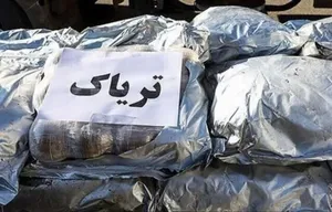 کشف ۹۵۰ کیلوگرم مواد مخدر در کرمان؛ انهدام باند سازمان‌یافته