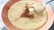 طرز تهیه فرنی رستورانی در ۱۰ دقیقه؛ سریع، ساده و عالی