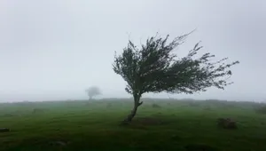 هشدار هواشناسی اردبیل؛ خطر تندباد، رعدوبرق و سیلاب ناگهانی تا چهارشنبه