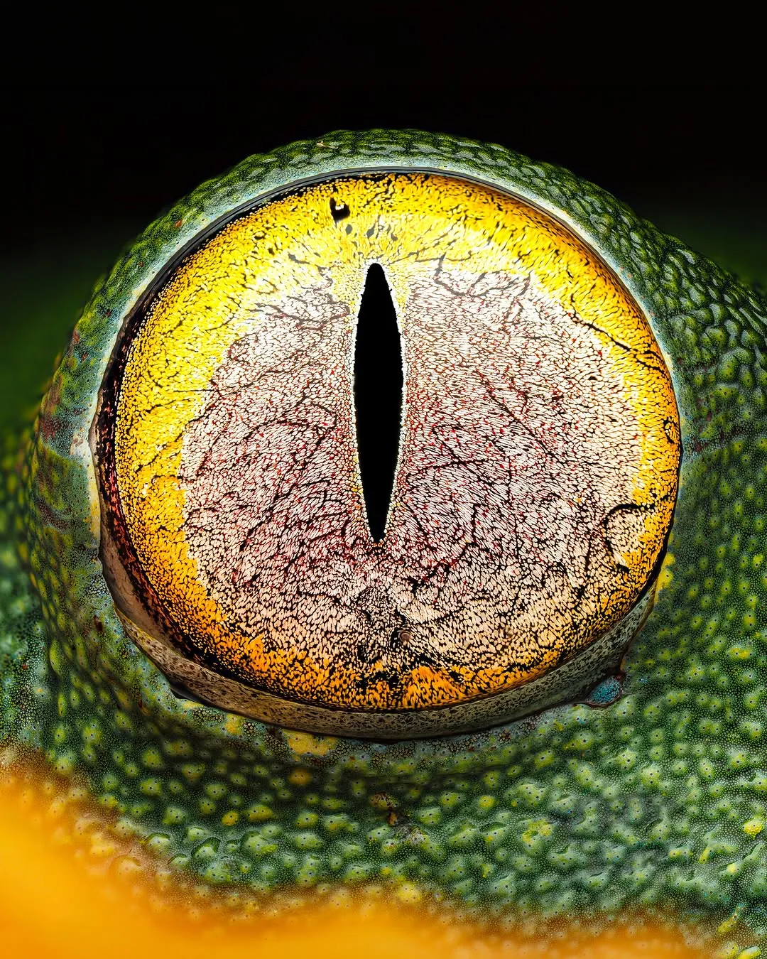 1515