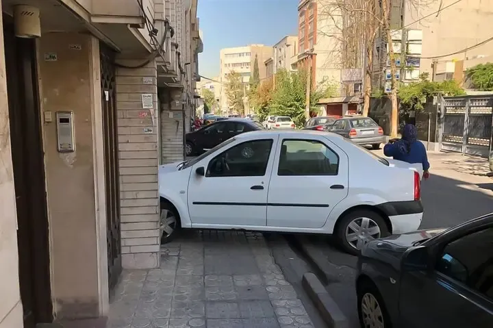 برای این موضوع دیگر به پلیس ۱۱۰ زنگ نزنید!