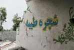 نمایی از دیوار مدرسه شجره طیبه میناب