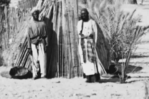 منظرۀ یک «نخلستان و سایبان‌های باغبانی» در بندر جاسک؛ 133 سال قبل