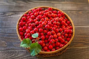 میوه‌ای کوچک و قرمز با خواص درمانی معجزه گر برای بدن!