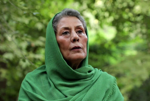 مهوش افشارپناه به بهانه روز ملی سینما مروری بر بازیگرانی که از سینما دور شدند